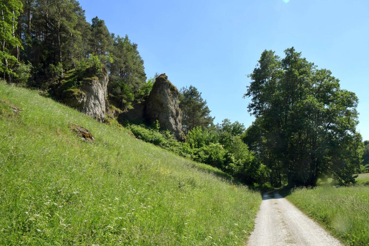 Hotel Gasthof Zum Loewen Velburg Kültér fotó